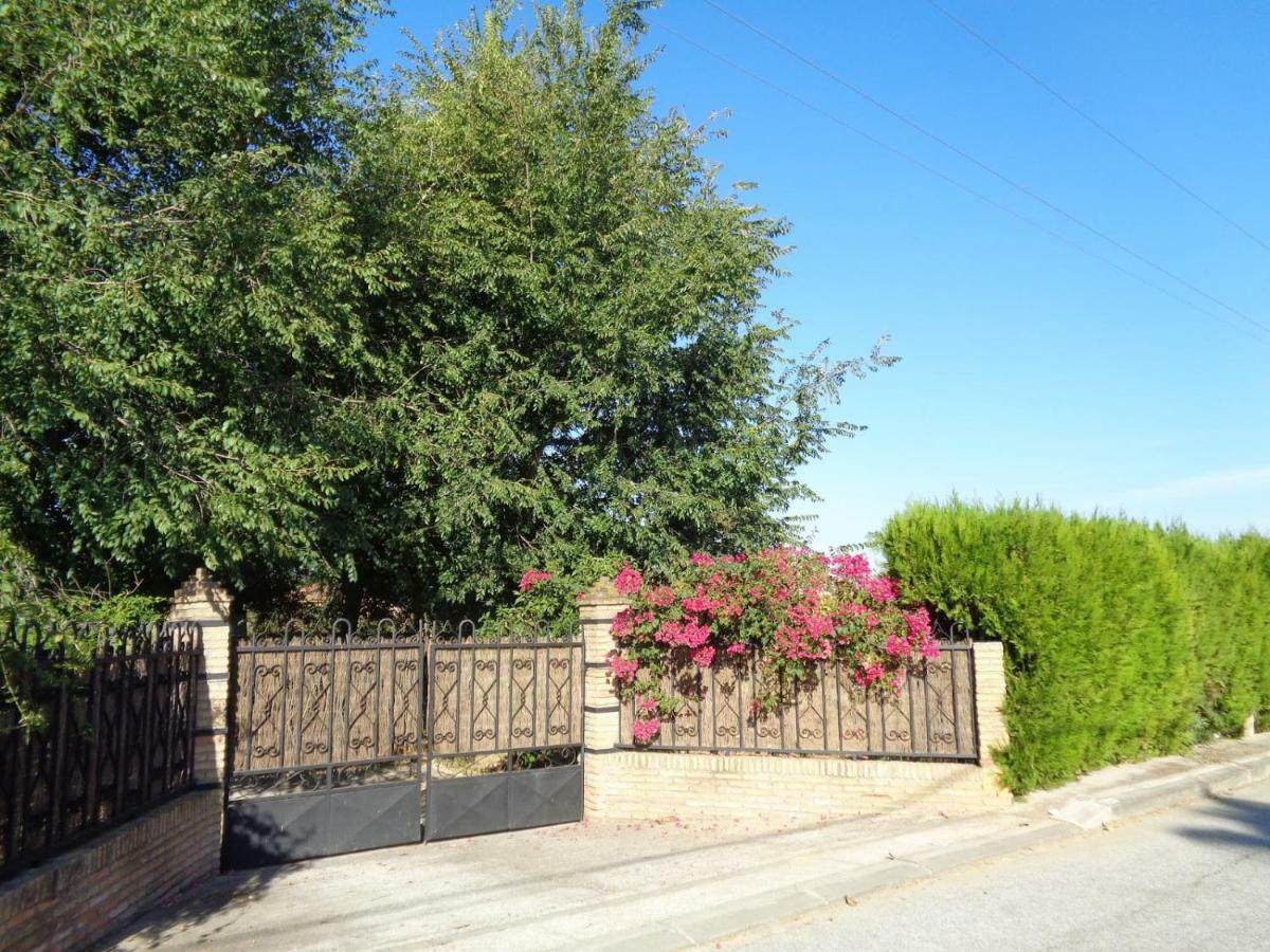 Casa Los Jinetes Carmona  Ngoại thất bức ảnh